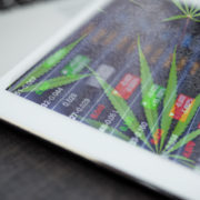 Best Marijuana Stocks To Buy Right Now? 2 To Watch Before June