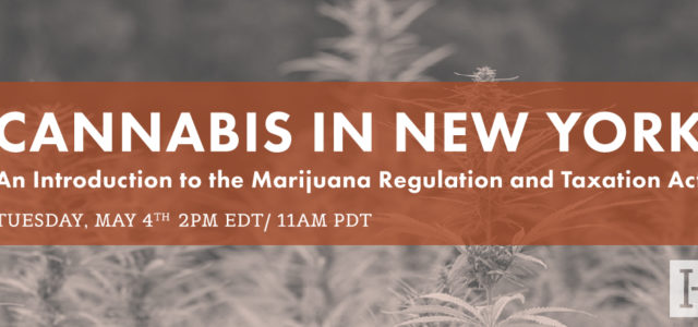 Cannabis in New York: Intro to the Marijuana Regulation and Taxation Act: The Webinar Video Replay