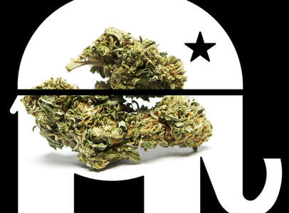 Cannabis Is the Latest Battlefield in the Republican War on Democracy