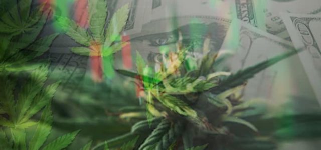 Hot Marijuana Penny Stocks To Buy? 2 For Next Week’s Watchlist