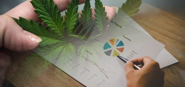 Looking For The Best Cannabis Stocks Right Now? 2 For Your Watchlist This Week