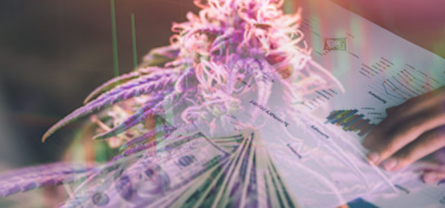 Marijuana Penny Stocks For Your June 2021 Watchlist