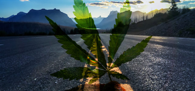 Montana Is On Its Way To Legalizing Recreational Cannabis In 2021