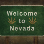 Nevada weed infighting threatens vision of cannabis mecca