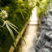 Recreational Cannabis Has Produced Close To $8 Billion In Tax Revenue