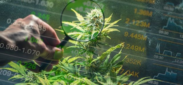 Should These Top Marijuana Stocks Be On Your Watchlist In May?