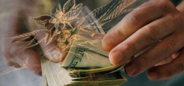 Should You Be Buying These Marijuana Stocks During This Decline In The Market?