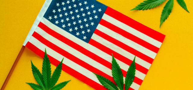 Strong Q1 Results Show U.S. Cannabis Stocks Virtually Unstoppable