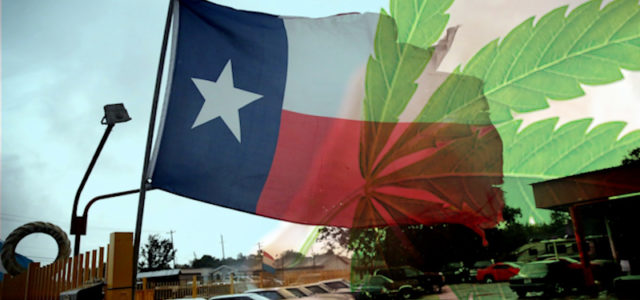 Texas Senate Has Approved Decriminalizing Marijuana Concentrates