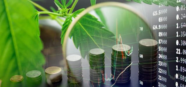 The Best Marijuana Stocks To Buy For 2021? 3 Top US Pot Stocks Right Now