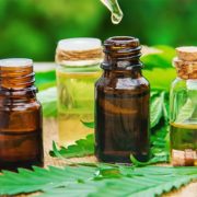 The Hemp Market Continues To Grow With More Uses From CBD