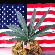 These 2 States Are On Course To Generate Large Amounts Of Revenue From Legal Cannabis Sales