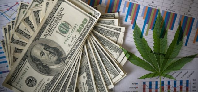 These Marijuana Companies Are Now The Biggest In The World