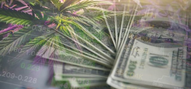 These Marijuana Penny Stocks Could Have Potential Next Week, Are You Buying The Dip?