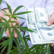 Tilray Stock Soars as Wall Street Bank Backs Marijuana Stocks