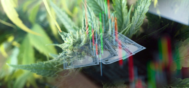 Top Marijuana Penny Stocks In The Stock Market In May