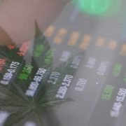 Top Marijuana Penny Stocks to Watch In May 2021