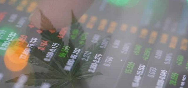 Top Marijuana Penny Stocks to Watch In May 2021