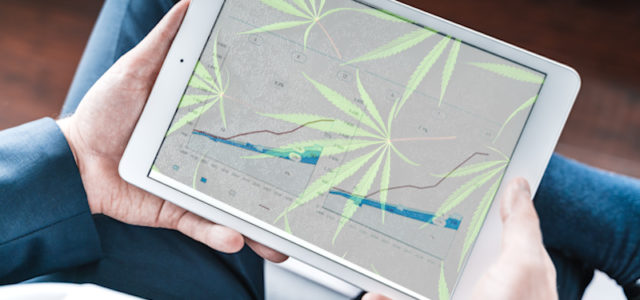 Top Marijuana Stocks To Buy In May? These US Pot Stocks Could Be Game Changers