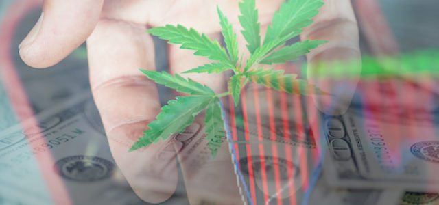Top Marijuana Stocks To Buy This Week? 2 To Watch Right Now