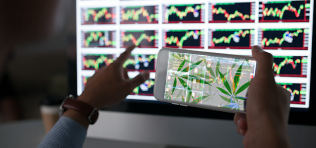 Which Of These Marijuana Stocks Is The Best To Invest In?