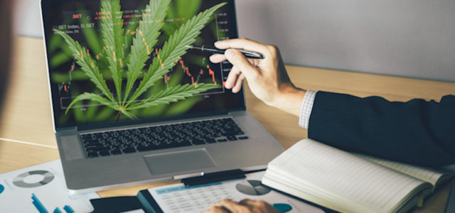 2 Marijuana Stocks To Watch Before The End Of The Month