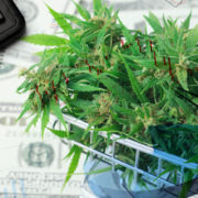 2 Marijuana Stocks To Watch Heading Into Next Month