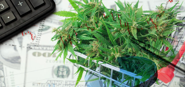 2 Marijuana Stocks To Watch Heading Into Next Month