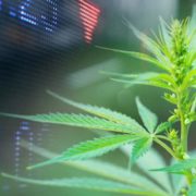 2 Top Canadian Marijuana Stocks To Watch Before July