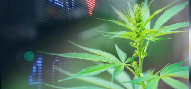 2 Top Canadian Marijuana Stocks To Watch Before July