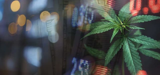 Are These Marijuana Stocks Undervalued This Month?