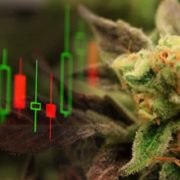 Are These Top Marijuana Stocks On Your Watchlist Right Now? 2 Canadian Pot Stocks That Could Be Undervalued