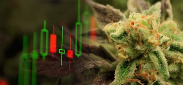 Are These Top Marijuana Stocks On Your Watchlist Right Now? 2 Canadian Pot Stocks That Could Be Undervalued