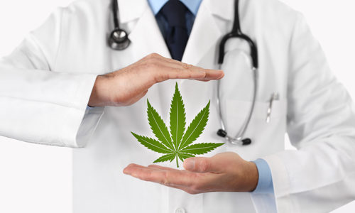 Believe in the Potential of Medical Cannabis 