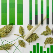 Best Marijuana Stocks For Your Watchlist This Week? 3 To Check Out Right Now