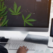 Best Marijuana Stocks To Buy In July? 2 To Watch Next Month