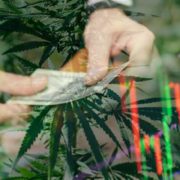 Best Marijuana Stocks To Buy In June? 2 To Add To Your Watchlist Right Now