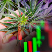 Best Marijuana Stocks To Buy In June? 2 To Watch Right Now