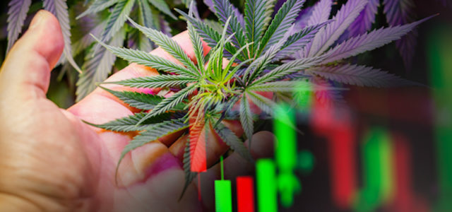 Best Marijuana Stocks To Buy In June? 2 To Watch Right Now