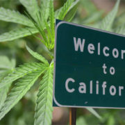 California Is Using Cannabis Tax Money The Right Way