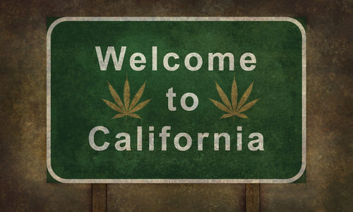 California offers $100 million to rescue its struggling legal marijuana industry