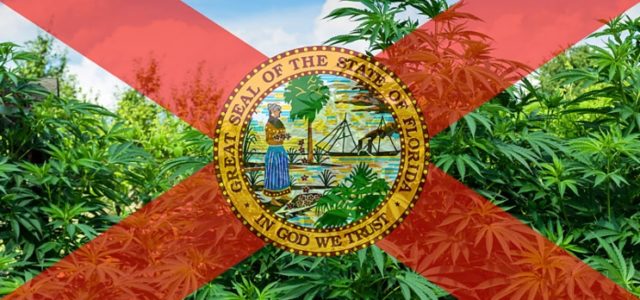 Cannabis Legislation Gets Stopped By The Florida Supreme Court