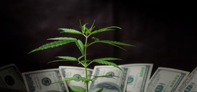Goodness Growth Holdings Inc: This $2.10 Pot Stock Deserves a New Look