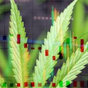 Hot Marijuana Stocks For 2021, Will These Be Top Gainers In June?