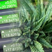 Looking For Top Marijuana Stocks In June? 3 For Watchlist Next Week