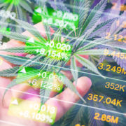 Marijuana Stocks To Buy In 2021? 2 Canadian Pot Stocks For Your July Watchlist
