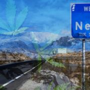 Nevada Wants To Legalize Marijuana Consumption Sites