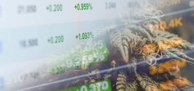 These Marijuana Stocks Are Building More Momentum In June