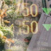 Top Marijuana ETFs To Buy In Q2 2021? 2 For Your June Watchlist