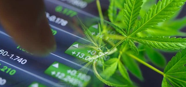 Top Marijuana Penny Stocks To Buy? 2 To Check Out This Week